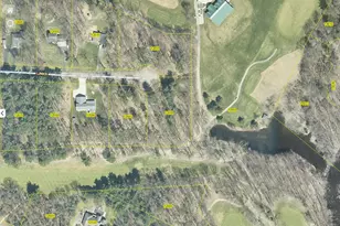 12990 Links Ln NE, Gowen, MI 49326 - Photo 1