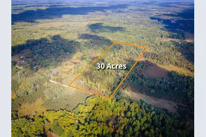 10396 E 24th Street, Reed City, MI 49677 - Photo 1