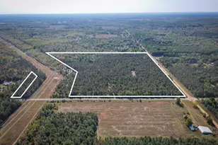 2969 E Loop Rd, Hesperia, MI 49421 - Photo 1