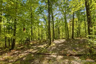 916 E 6 Mile Rd, White Cloud, MI 49349 - Photo 1