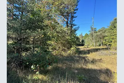 V/L S Tall Pine Trail, Newaygo, MI 49337 - Photo 1