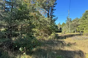 V/L S Tall Pine Trail, Newaygo, MI 49337 - Photo 1