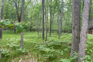 12060 Chinook Dr, Canadian Lakes, MI 49346 - Photo 1