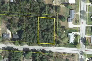 Vl Brook Ave, Kaleva, MI 49645 - Photo 1