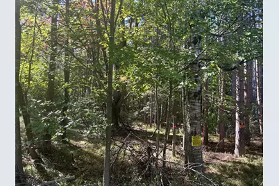 6195 110th Avenue, Stanwood, MI 49346 - Photo 1