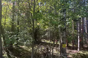6195 110th Ave, Stanwood, MI 49346 - Photo 1
