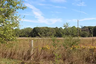 000 Burtch Parcel 4 Rd, Grass Lake, MI 49240 - Photo 1