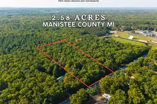 Vl N High Bridge Rd, Brethren, MI 49619 - Photo 1