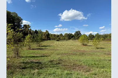 Vl 4.59Ac. Cr 215, Bangor, MI 49013 - Photo 1