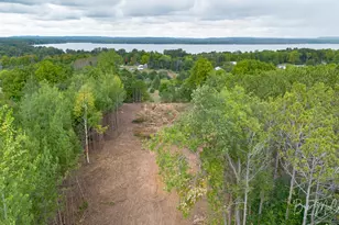 6642 Spruce Ridge Rd, Bear Lake, MI 49614 - Photo 1