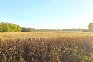 Wildt Hwy, Bellevue, MI 49021 - Photo 1