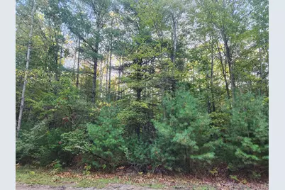 6842 White Pine Drive, Canadian Lakes, MI 49346 - Photo 1