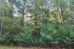 6842 White Pine Dr, Canadian Lakes, MI 49346 - Photo 1
