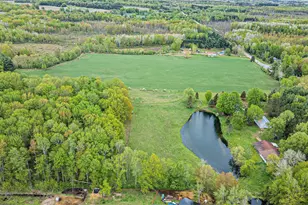 Vl 45th Ave, Barryton, MI 49305 - Photo 1