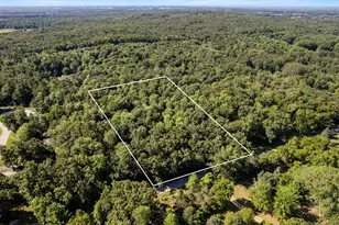 Vl Par 2 E 98th St, Howard City, MI 49329 - Photo 1