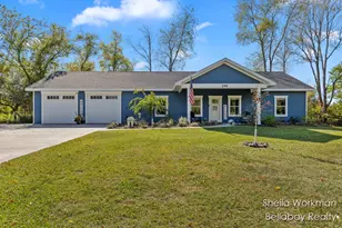 296 St Johns St, Freeport, MI 49325 - Photo 1