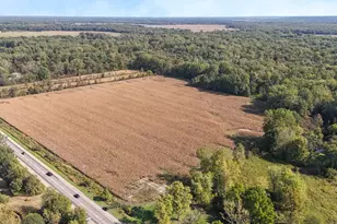 Vl M 51 N, Dowagiac, MI 49047 - Photo 1