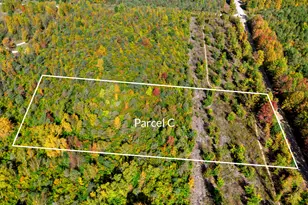 Parcel C S Weldon Rd, Beulah, MI 49617 - Photo 1