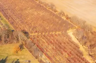 66th St, Fennville, MI 49408 - Photo 1