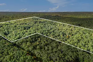 Vl N Campbell Rd, Fountain, MI 49410 - Photo 1