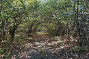 Vl 40 Clinton Way, Jackson, MI 49201 - Photo 1