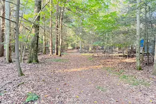 8367 W Stony Lake Rd, New Era, MI 49446 - Photo 1