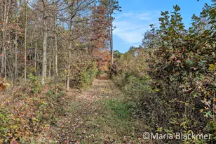 E Charles Rd, Ionia, MI 48846 - Photo 1
