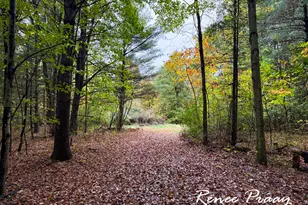 3913 112th Ave, Allegan, MI 49010 - Photo 1
