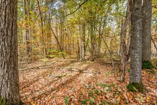 V/L Old Logging Rd, Hersey, MI 49639 - Photo 1