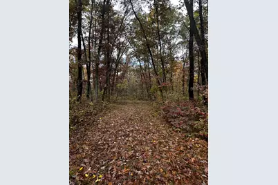 6421 N Irons Road, Irons, MI 49644 - Photo 1