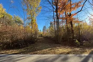 V/L 9 Mile Rd, Reed City, MI 49677 - Photo 1