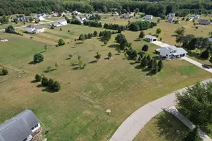 Country River Dr, Rives Junction, MI 49277 - Photo 1