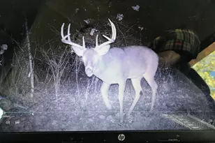 V/L 109th, Allegan, MI 49010 - Photo 1