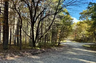 12426 Lone Wolf Trail, Stanwood, MI 49346 - Photo 1