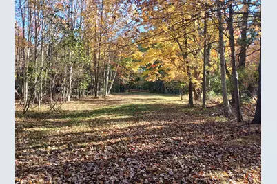 W Branch Street, Pentwater, MI 49449 - Photo 1