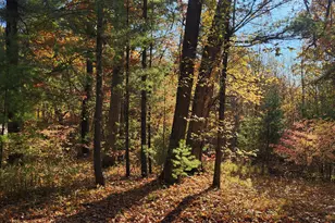 Crocker Rd, Holton, MI 49425 - Photo 1