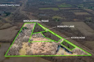 Vl Broughwell Rd, Rives Junction, MI 49277 - Photo 1