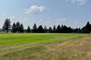 7277 Ryans Run, Canadian Lakes, MI 49346 - Photo 1