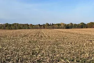 Wickwire Rd, Benton Harbor, MI 49022 - Photo 1
