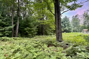 6293 Cedar Trce, Canadian Lakes, MI 49346 - Photo 1