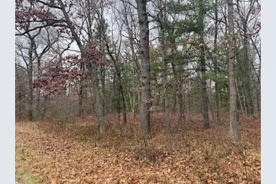 Parcel 2 Cleveland Drive, Bitely, MI 49309 - Photo 1