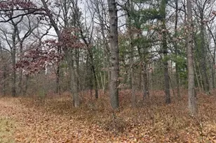 Parcel 2 Cleveland Dr, Bitely, MI 49309 - Photo 1