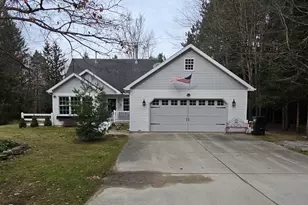 9138 White Pine Dr, Canadian Lakes, MI 49346 - Photo 1