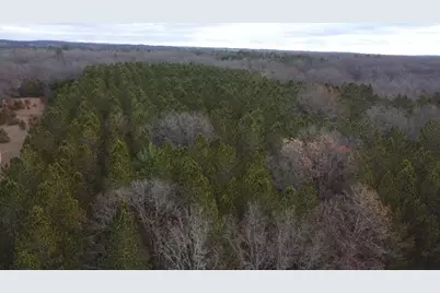 Vl Highbridge Rd, Brethren, MI 49619 - Photo 1