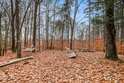 3205 E 14 Mile Road, Bitely, MI 49309 - Photo 1