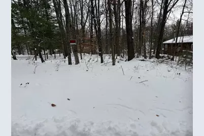 9861 E School Section Lake Drive, Mecosta, MI 49332 - Photo 1