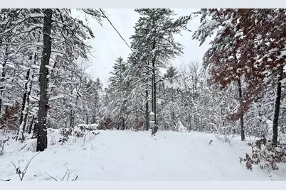 11335 S Broadway Street, Bitely, MI 49309 - Photo 1