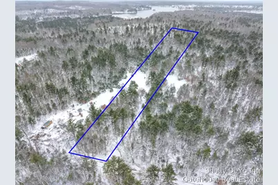 6007 S Cypress Avenue, Newaygo, MI 49337 - Photo 1