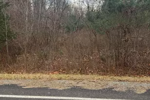 6190 102nd Ave, South Haven, MI 49090 - Photo 1