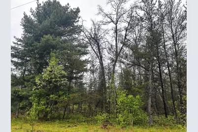 00 E 10 Mile Road #Parcel D-1, Irons, MI 49644 - Photo 1